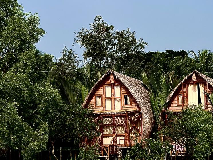 Road trip to Sundarbans: A magical escape into nature's embrace
