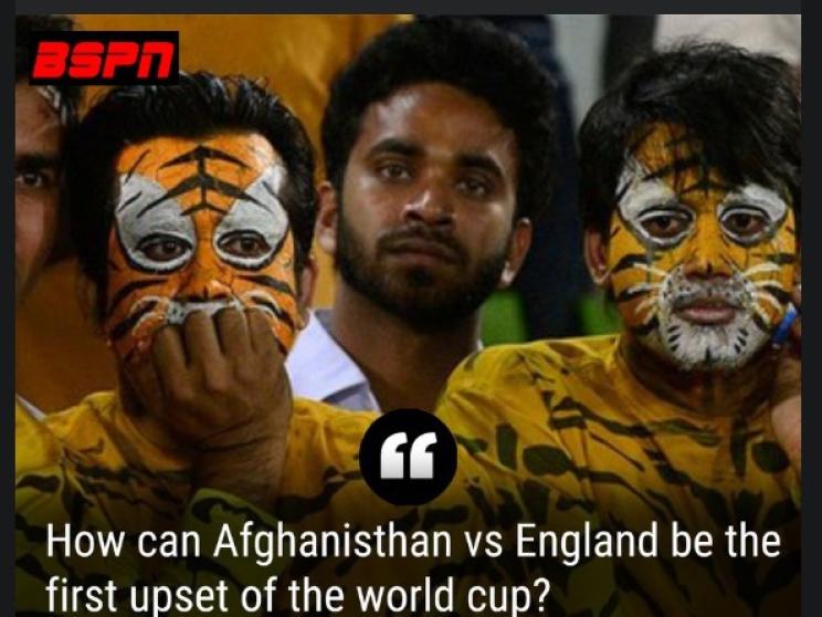 cricket-web.jpeg