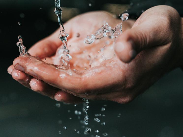 Handwashing 101: A beginner’s guide for all ages     nathan-dumlao-x7lyx8yyvug-unsplash