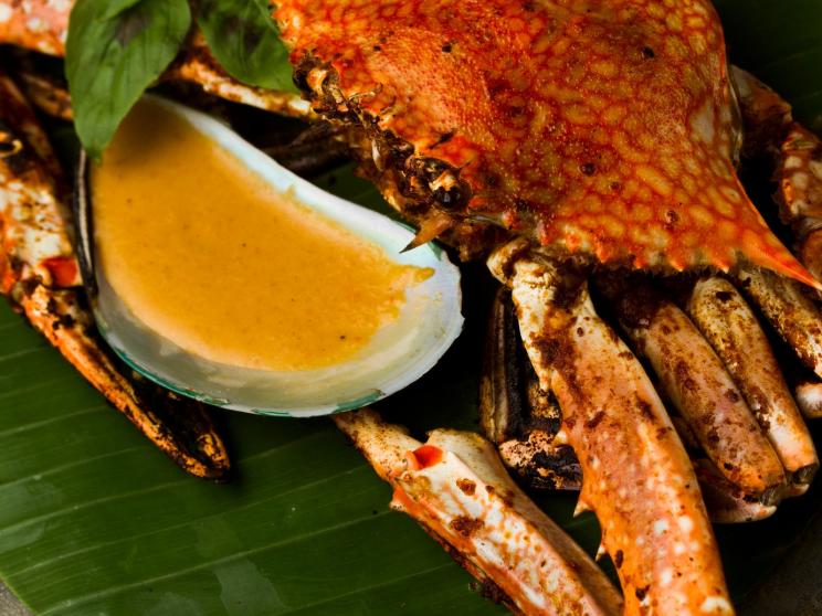 Catch of the day: Seafood recipes you will love