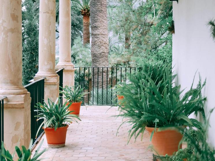 Tiny balcony? No problem! Here’s how to maximize your space          pexels-orlovamaria-4913343.jpg