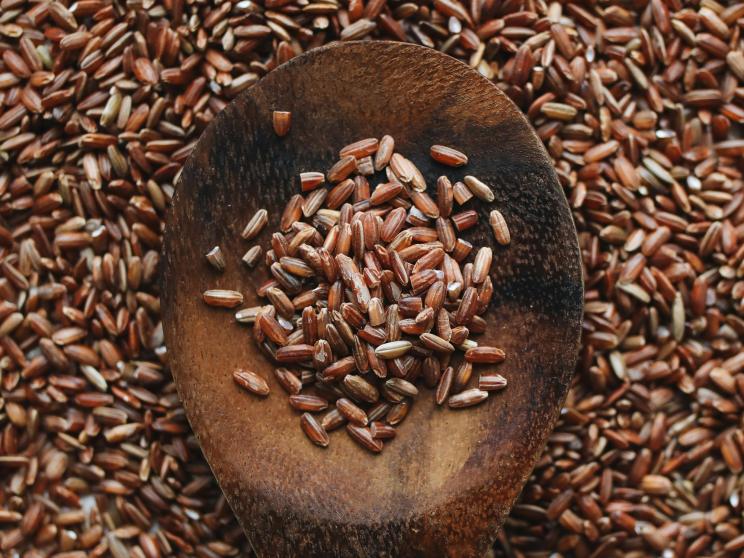 Can rice really make you fat, or are we just looking for excuses? 