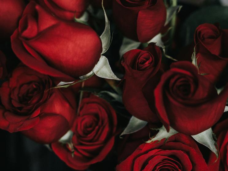 Seven days of Valentine’s love, seven ways to go broke!