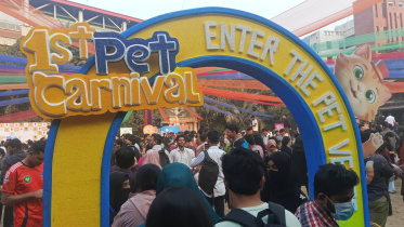 DU pet carnival 1.jpg