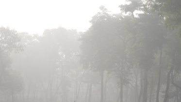 my dhaka 1.JPG