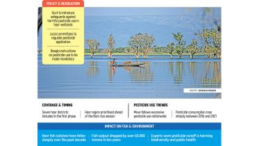 Govt to curb pesticide use in seven haor districts