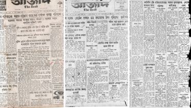 Copy of feature.png