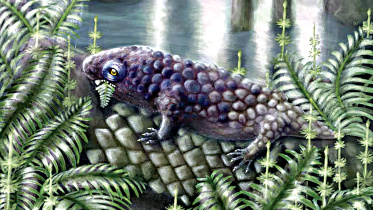 Fossil.jpg