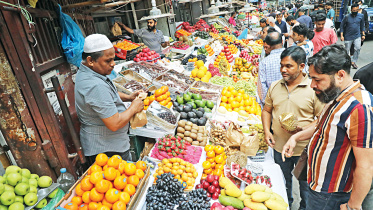 Fruit-imports.jpg