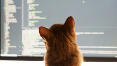 Vibe coding