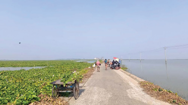 Chalan-beel5.jpg