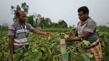 Lalmonirhat.jpg