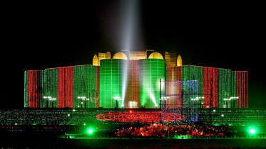 Parliament_Lighting_Xinhua.PNG