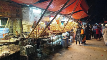 Unlicensed-kitchen-markets-DSCC.jpg