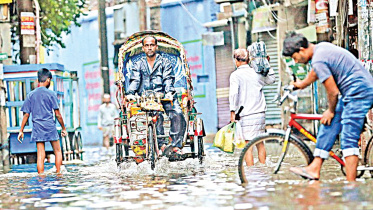 waterlogging.jpg