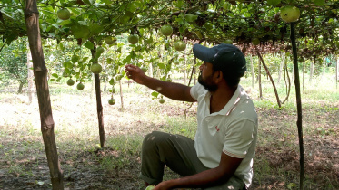 Maheshpur-upazila.jpg
