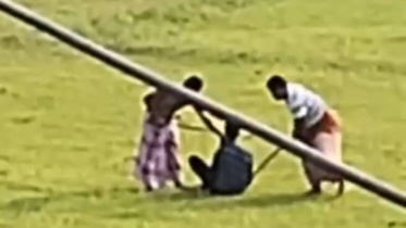 ashulia.jpg