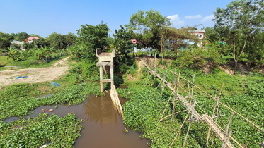 bridge.jpg