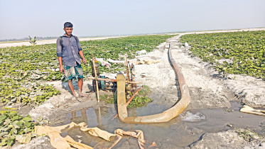 dying-teesta1.jpg
