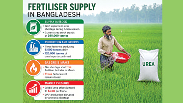 Fertilizer Supply Bangladesh