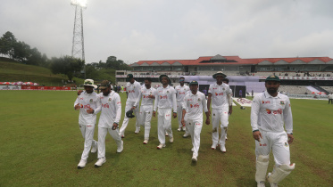 BD Tigers 2.JPG