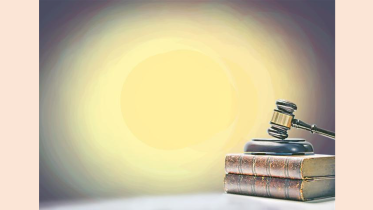 Court order visual 2.png