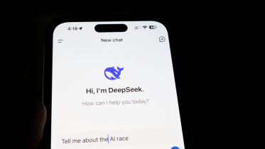 DeepSeek