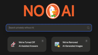DuckDuckGo No AI