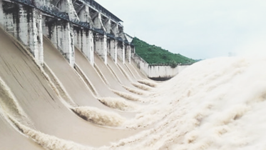 Farakka Barrage.png
