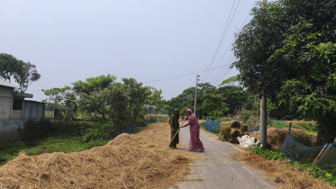  There has been a sharp rise in the prices of cattle feed following the recent flood. Photo: Star