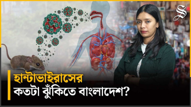 Hantavirus risk for Bangladesh.jpg