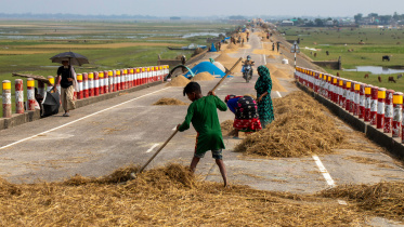 All weather road has become a development tragedy in the Haor. Photo: Orchid Chakma