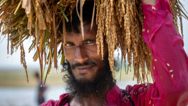 Haor crisis is becoming a national crisis