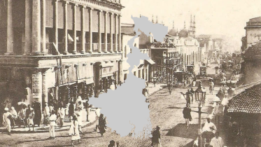 Illustrations 8 (41).png