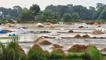 Kishoreganj Paady piled T-13.jpg