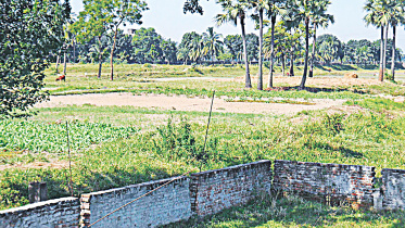 Land-Survey-Tribunal.jpg