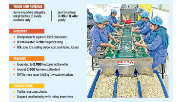 Bangladesh cashew nuts industry challenges 2026