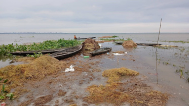 Farmers say heavy rainfall and subsequent flood have caused severe losses. Photo: Star