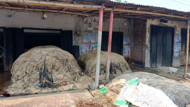 Every Eid-ul-Azha, Natore becomes the largest rawhide wholesale hub in the region. Photo: Star