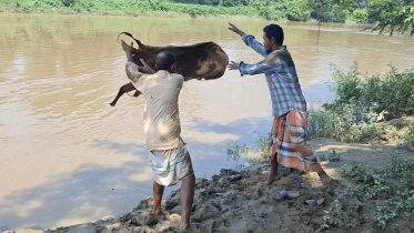 Rawhide_Dump_Moulvibazar_.jpg