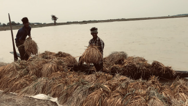 Haor Crisis