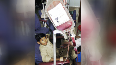 Thalassaemia-disorder.jpg