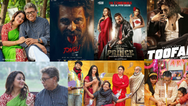 Visual_Dowel Biswas.png
