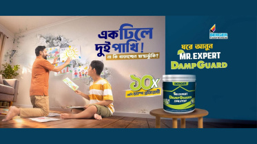 Wall damp.jpeg