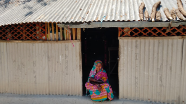 A Bagh Bidhoba (Tiger Widow)