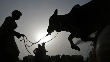 Eid-ul-Azha 2026 date in Bangladesh