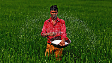 fertiliser.jpg