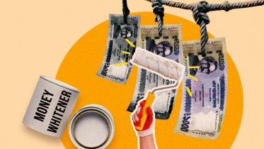 money_whitening.png
