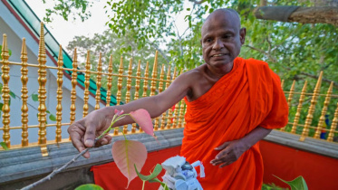 monk.jpg