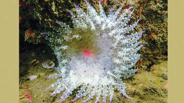 nature.jpg